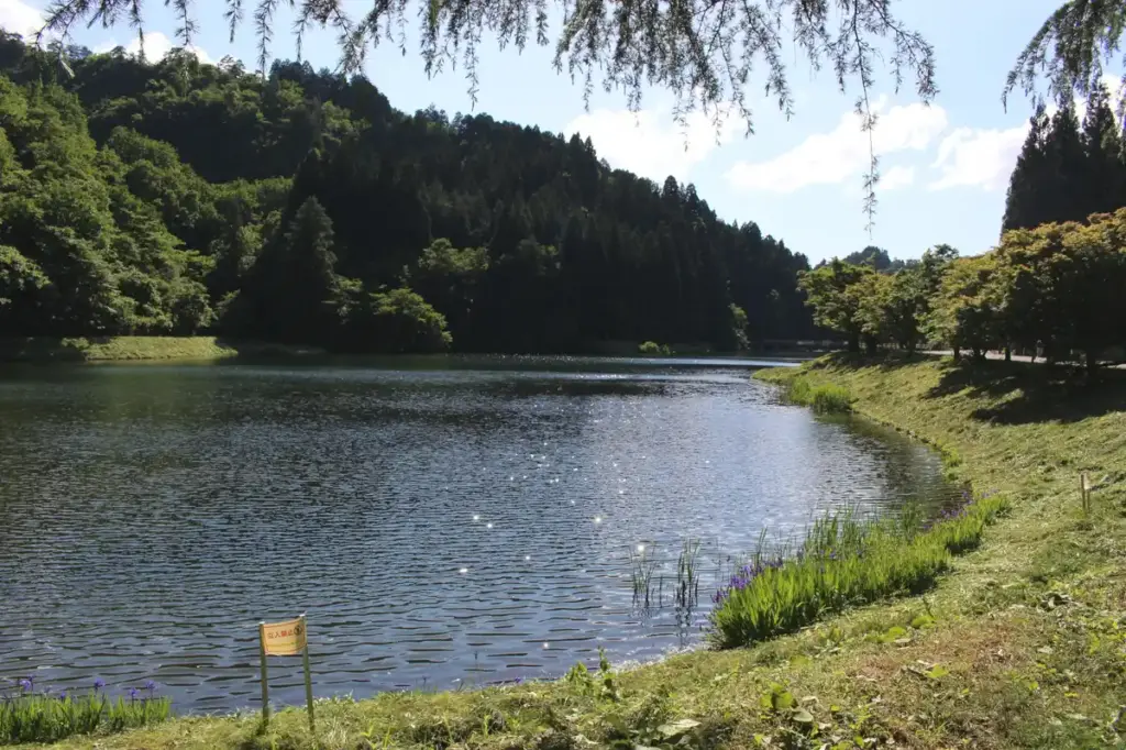 透明度の高い加茂水源地の水面