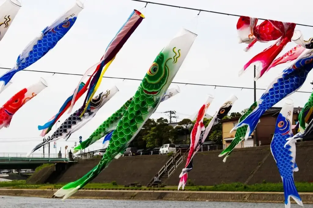 新潟県加茂市の加茂川上空を優雅に泳ぐ色鮮やかな鯉のぼり