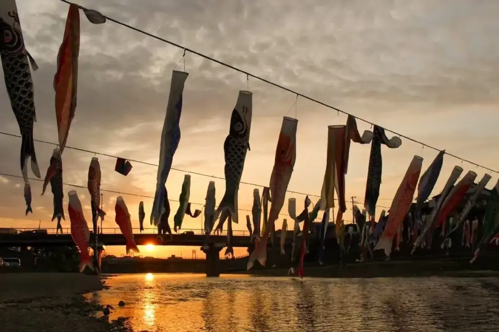 夕暮れ時の加茂川を泳ぐ鯉のぼりと美しい夕焼け【新潟県加茂市】