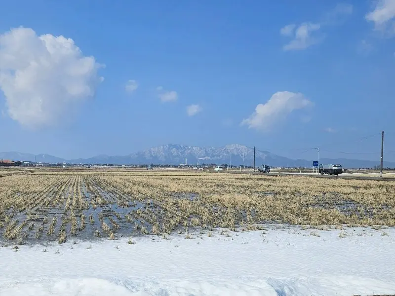 散歩風景
