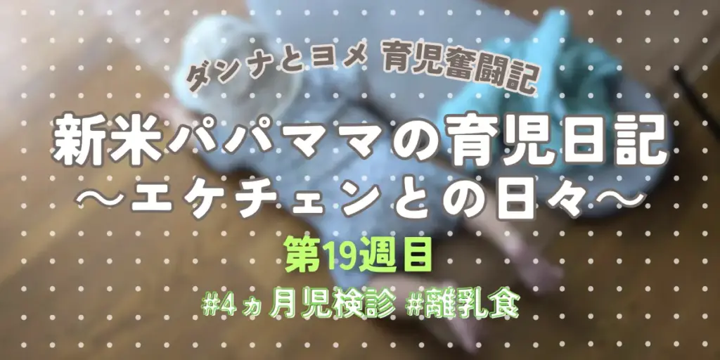 【育児奮闘記】新米パパ・ママの育児日記|エケチェンとの日々【第19週目】
