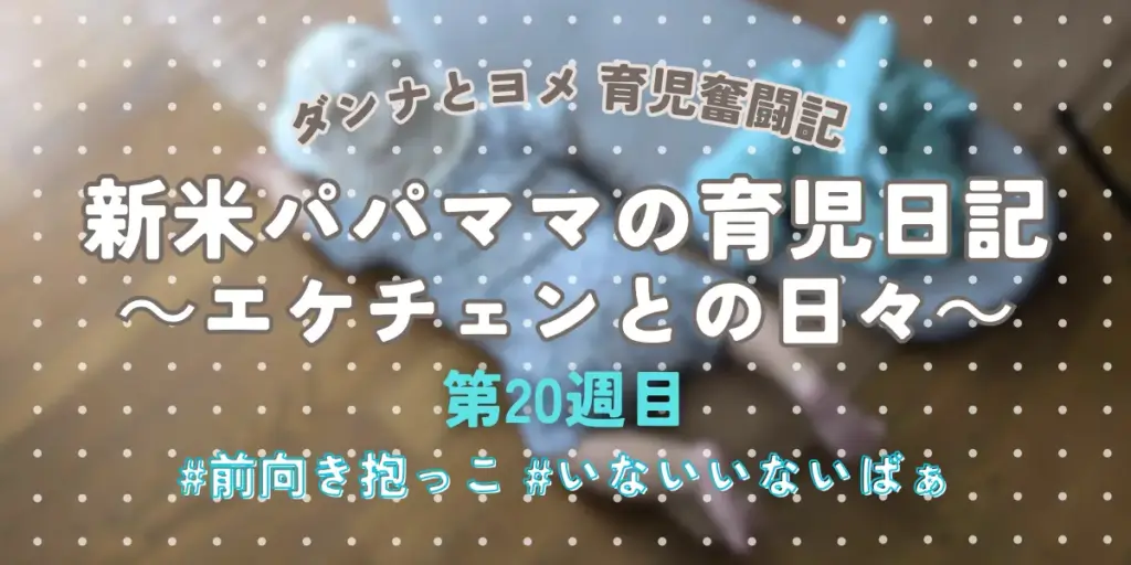 【育児奮闘記】新米パパ・ママの育児日記｜エケチェンとの日々【第20週目】