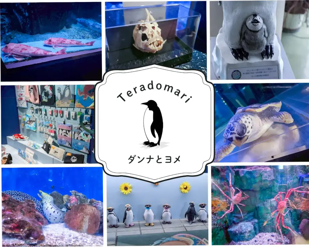 寺泊水族博物館 見どころ