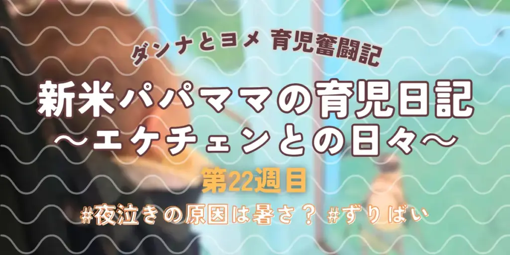 【育児奮闘記】新米パパ・ママの育児日記|エケチェンとの日々【第22週目】