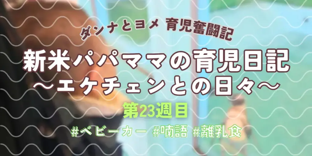 【育児奮闘記】新米パパ・ママの育児日記｜エケチェンとの日々【第23週目】