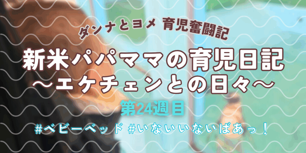 【育児奮闘記】新米パパ・ママの育児日記｜エケチェンとの日々【第24週目】