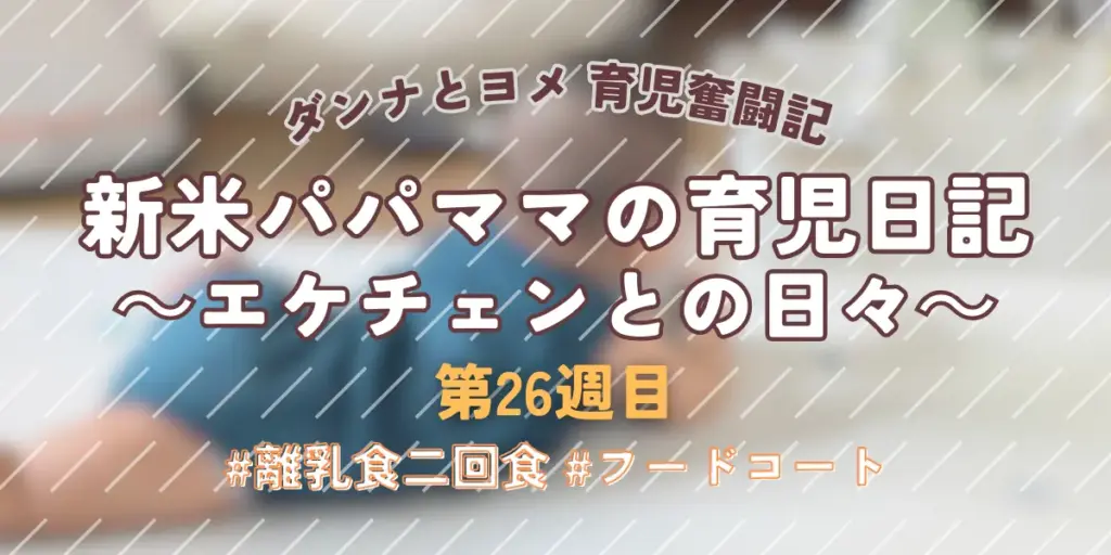 【育児奮闘記】新米パパ・ママの育児日記｜エケチェンとの日々【第26週目】