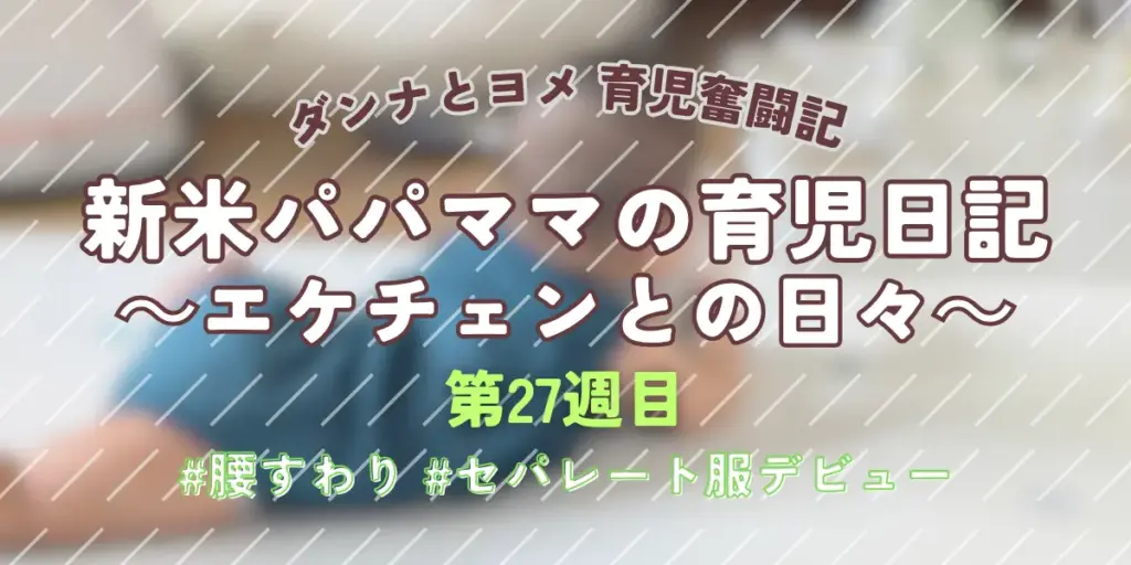 【育児奮闘記】新米パパ・ママの育児日記｜エケチェンとの日々【第27週目】
