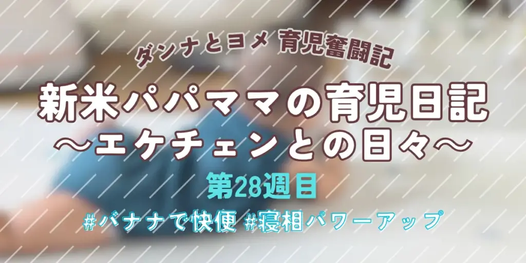 【育児奮闘記】新米パパ・ママの育児日記｜エケチェンとの日々【第28週目】