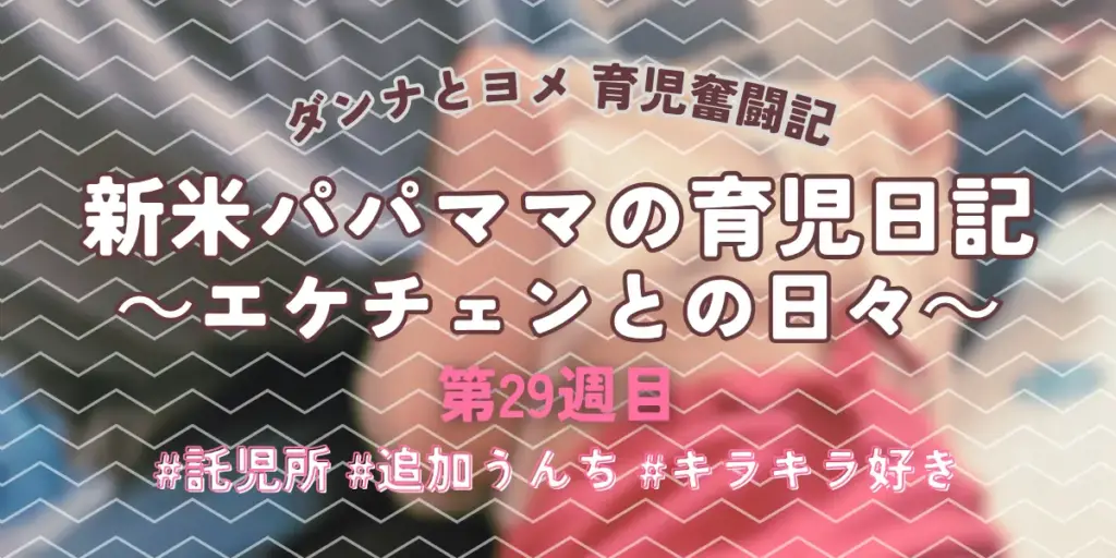 【育児奮闘記】新米パパ・ママの育児日記|エケチェンとの日々【第29週目】