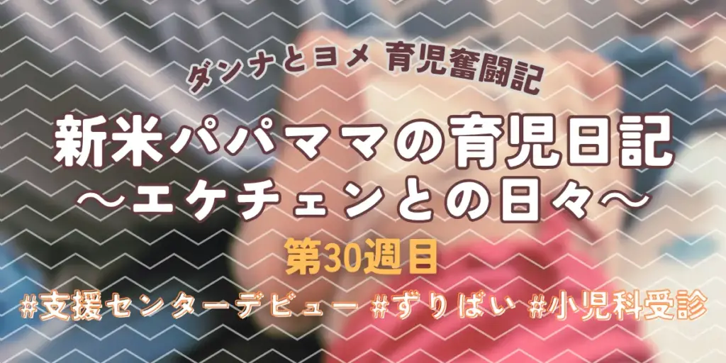 【育児奮闘記】新米パパ・ママの育児日記|エケチェンとの日々【第30週目】