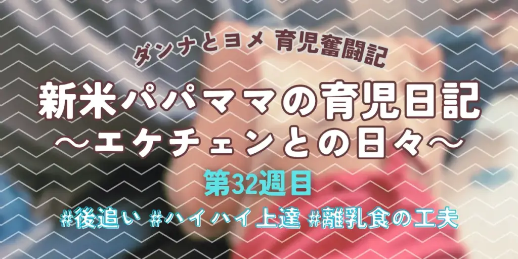 【育児奮闘記】新米パパ・ママの育児日記｜エケチェンとの日々【第32週目】