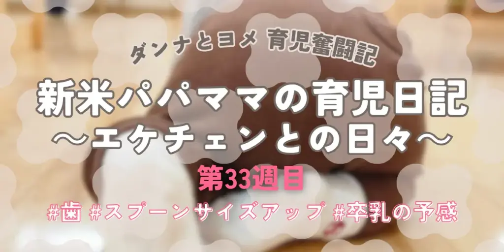 【育児奮闘記】新米パパ・ママの育児日記|エケチェンとの日々【第33週目】