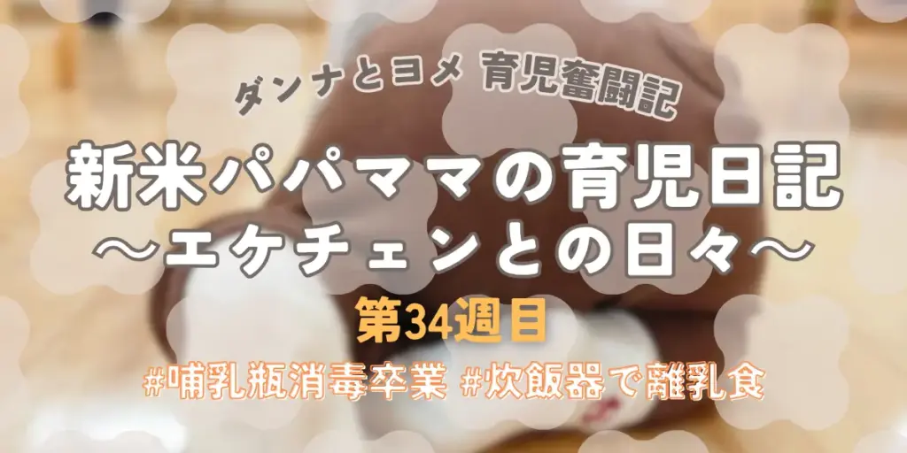 【育児奮闘記】新米パパ・ママの育児日記|エケチェンとの日々【第34週目】