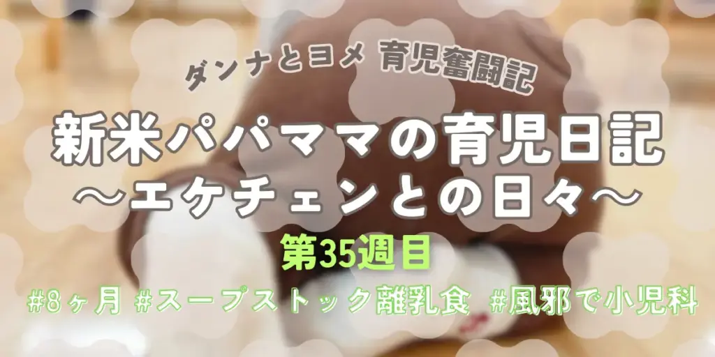 【育児奮闘記】新米パパ・ママの育児日記｜エケチェンとの日々【第35週目】
