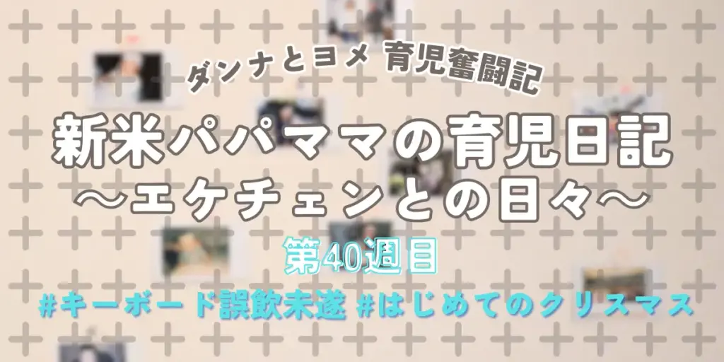 【育児奮闘記】新米パパ・ママの育児日記｜エケチェンとの日々【第40週目】