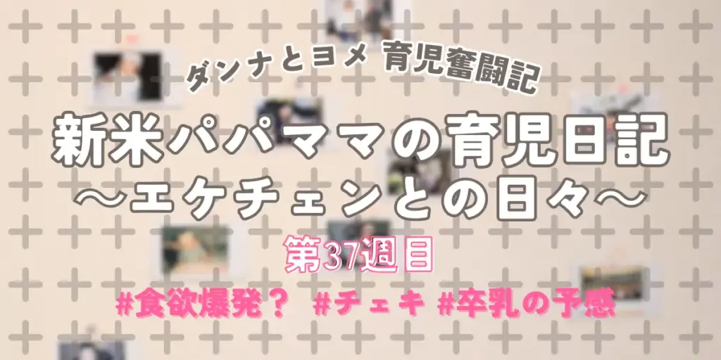 【育児奮闘記】新米パパ・ママの育児日記｜エケチェンとの日々【第37週目】