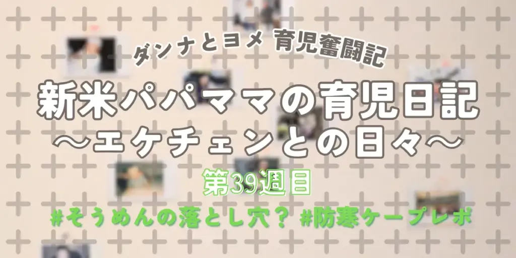 【育児奮闘記】新米パパ・ママの育児日記｜エケチェンとの日々【第39週目】