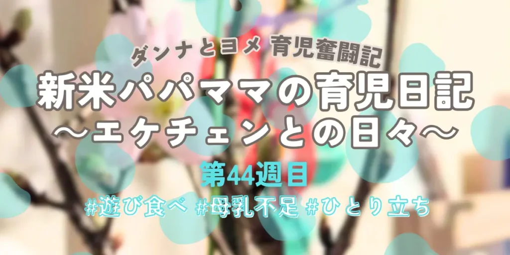 育児奮闘記第44週目アイキャッチ：生後10ヶ月の遊び食べ、母乳不足、ひとり立ちの悩みと成長記録