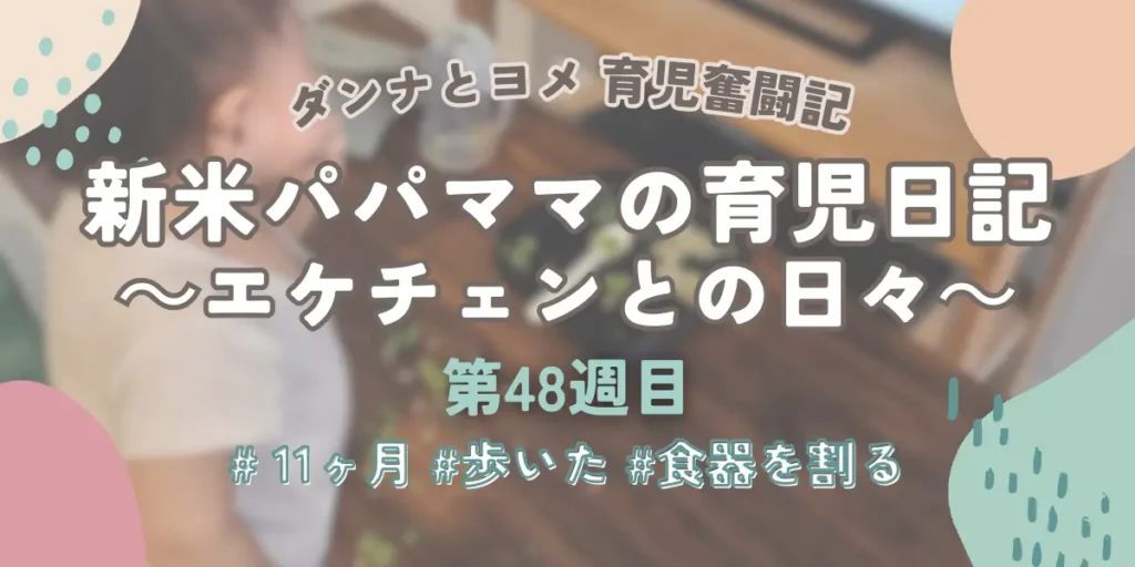育児奮闘記第48週目アイキャッチ:生後11ヶ月で4〜5歩歩いた感動と、食器を割られた悲劇の記録